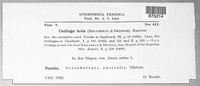 Ustilago hordei image